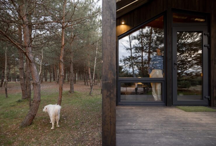 Woman looks out the window at house in nature