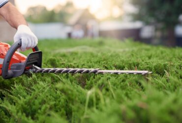 Close up of gargener trimming bushes