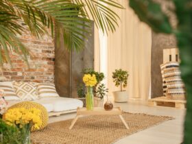 Garden in room