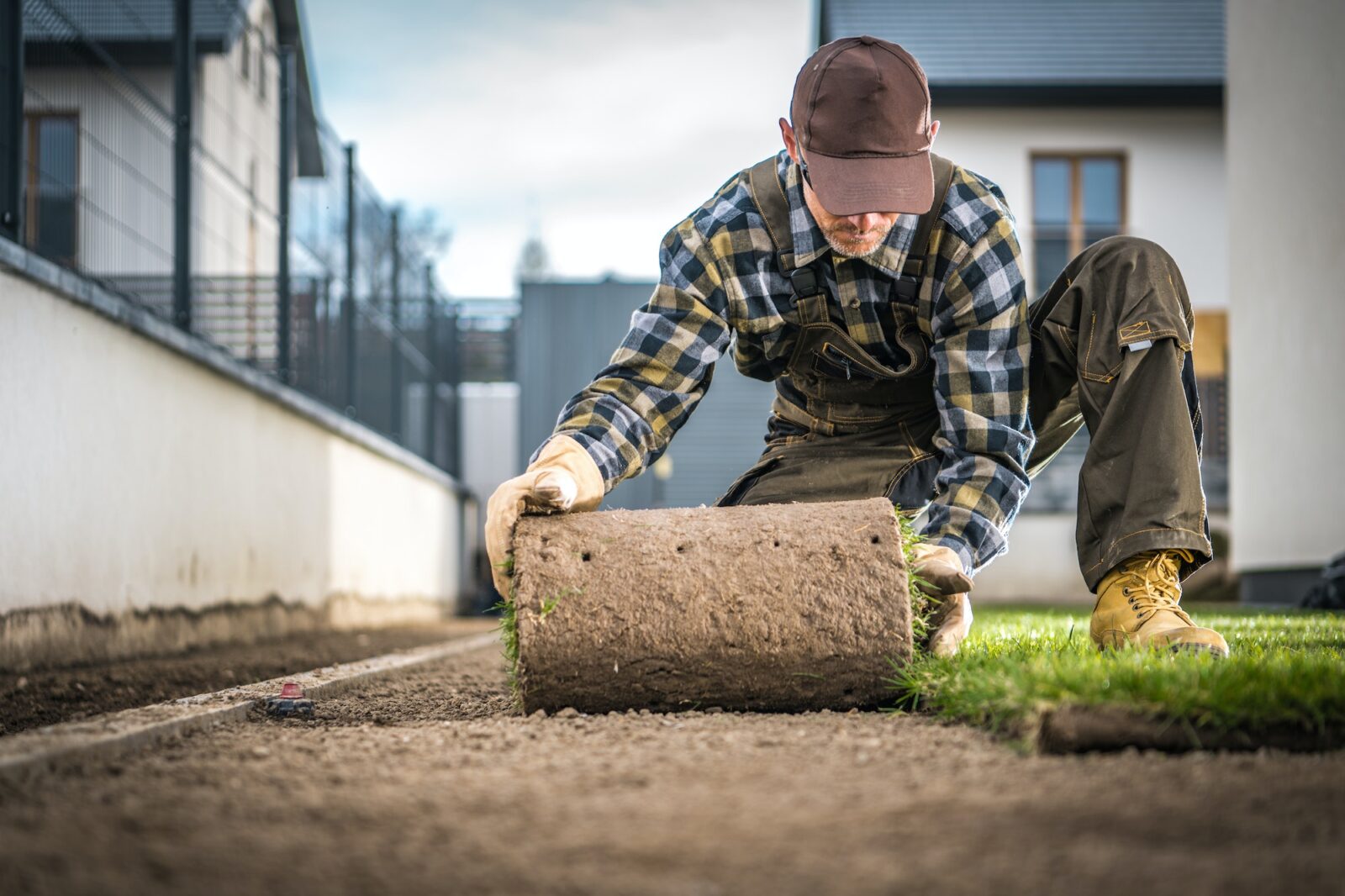Landscaper Installing Natural Grass Turf