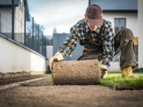 Landscaper Installing Natural Grass Turf