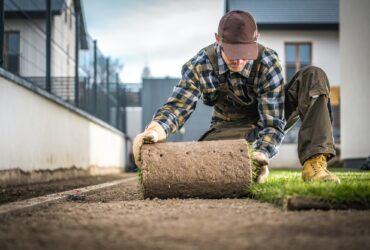 Landscaper Installing Natural Grass Turf