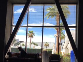 Working inside when there is sun and palm trees outside