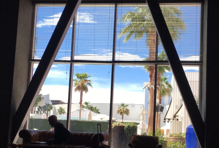 Working inside when there is sun and palm trees outside