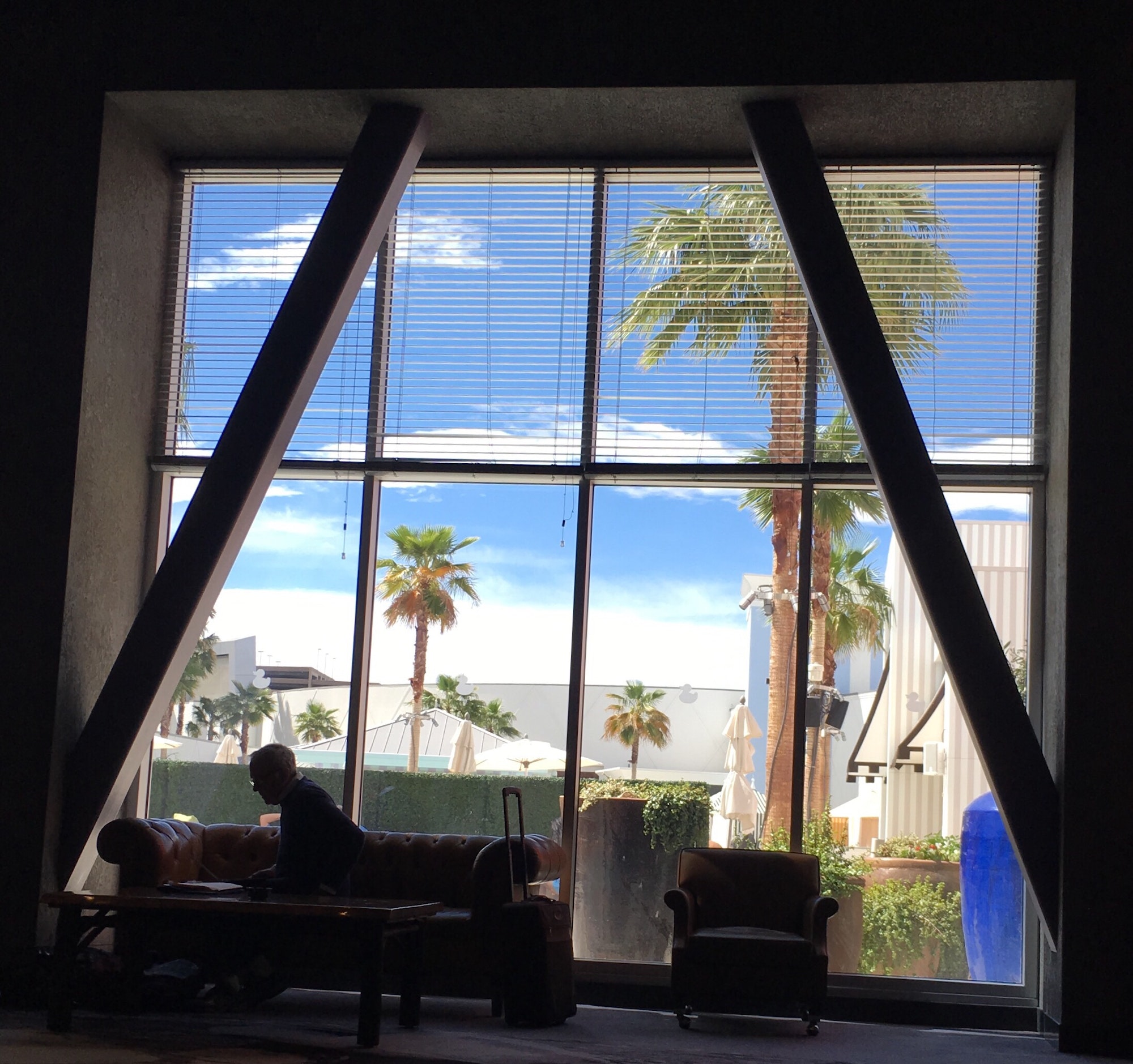 Working inside when there is sun and palm trees outside
