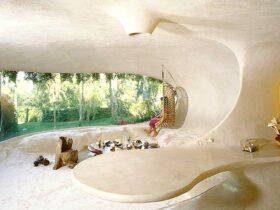 Organic House 3