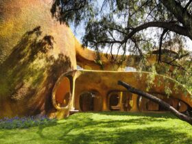 The Tree House 6