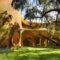 The Tree House 6