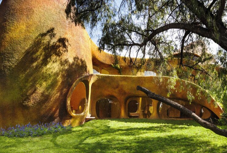 The Tree House 6