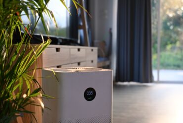 Air purifier with digital monitor screen and house plant in living room for fresh air.