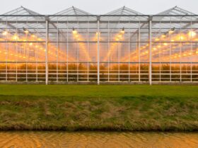 background commercial greenhouse