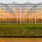 background commercial greenhouse