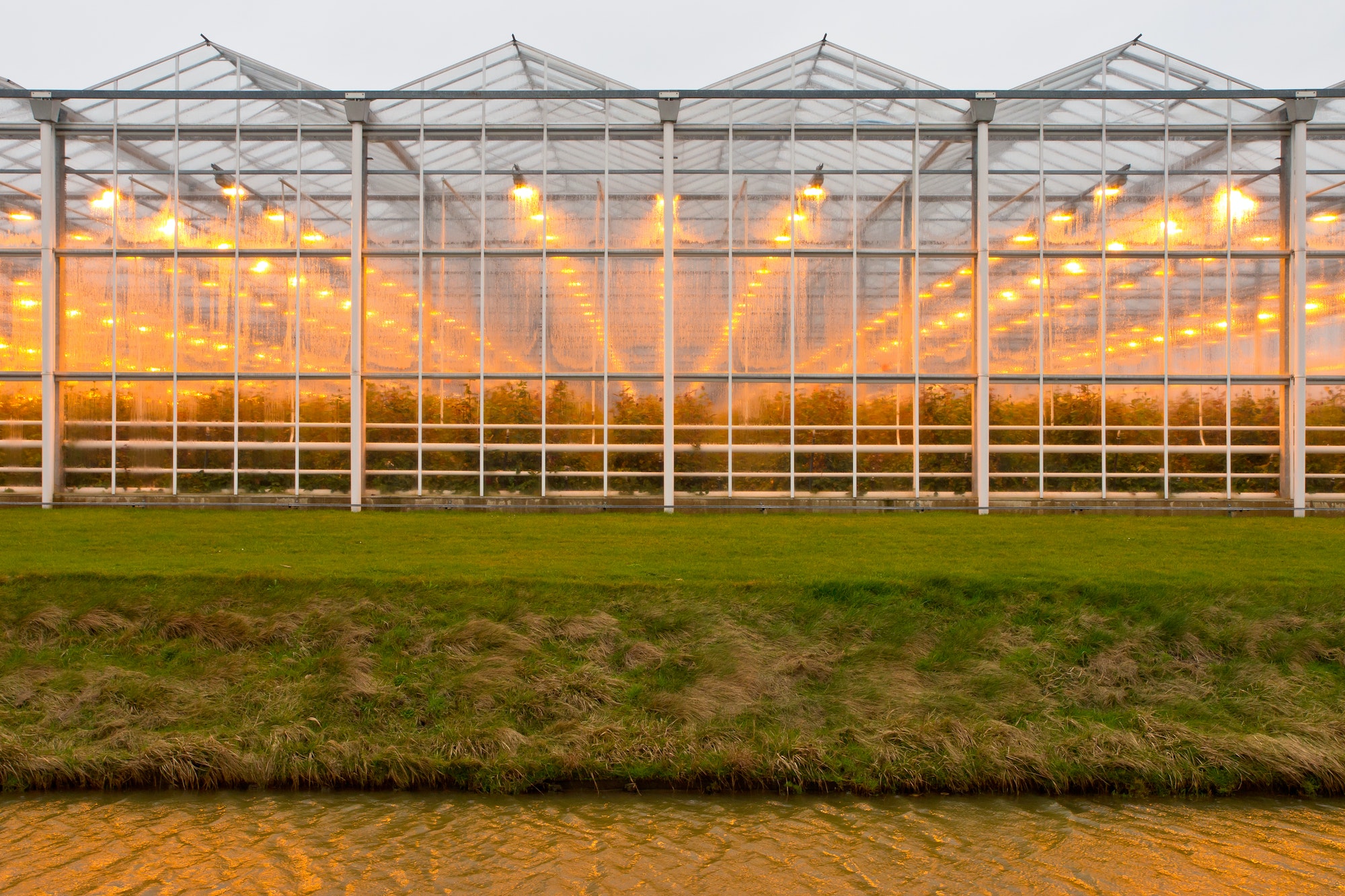background commercial greenhouse