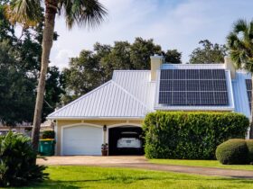 Home with beach vibes has solar panels on rooftop surrounded by tropical palm trees.