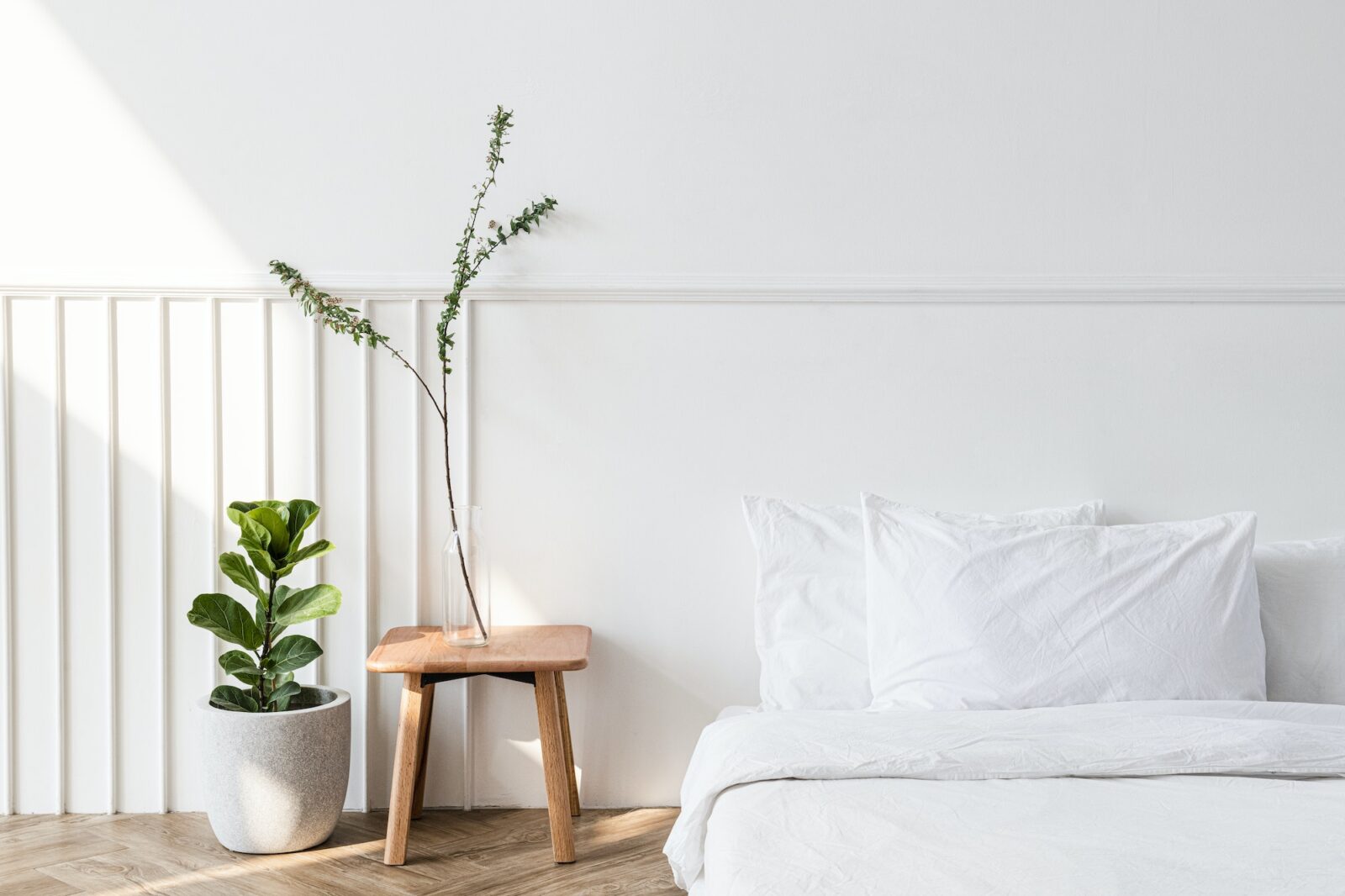 House plants by a mattress on the floor