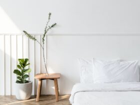 House plants by a mattress on the floor