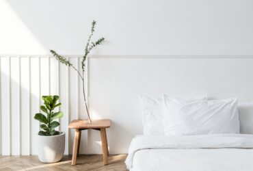House plants by a mattress on the floor
