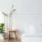 House plants by a mattress on the floor