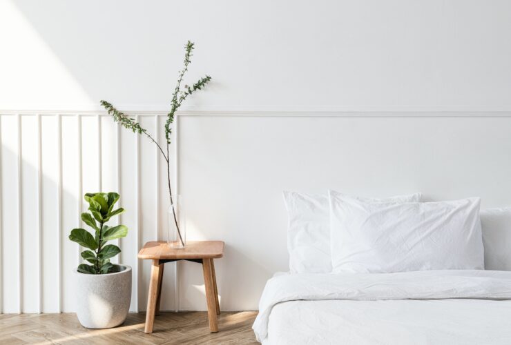 House plants by a mattress on the floor