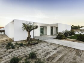 Modern house entrance with garden and wooden deck