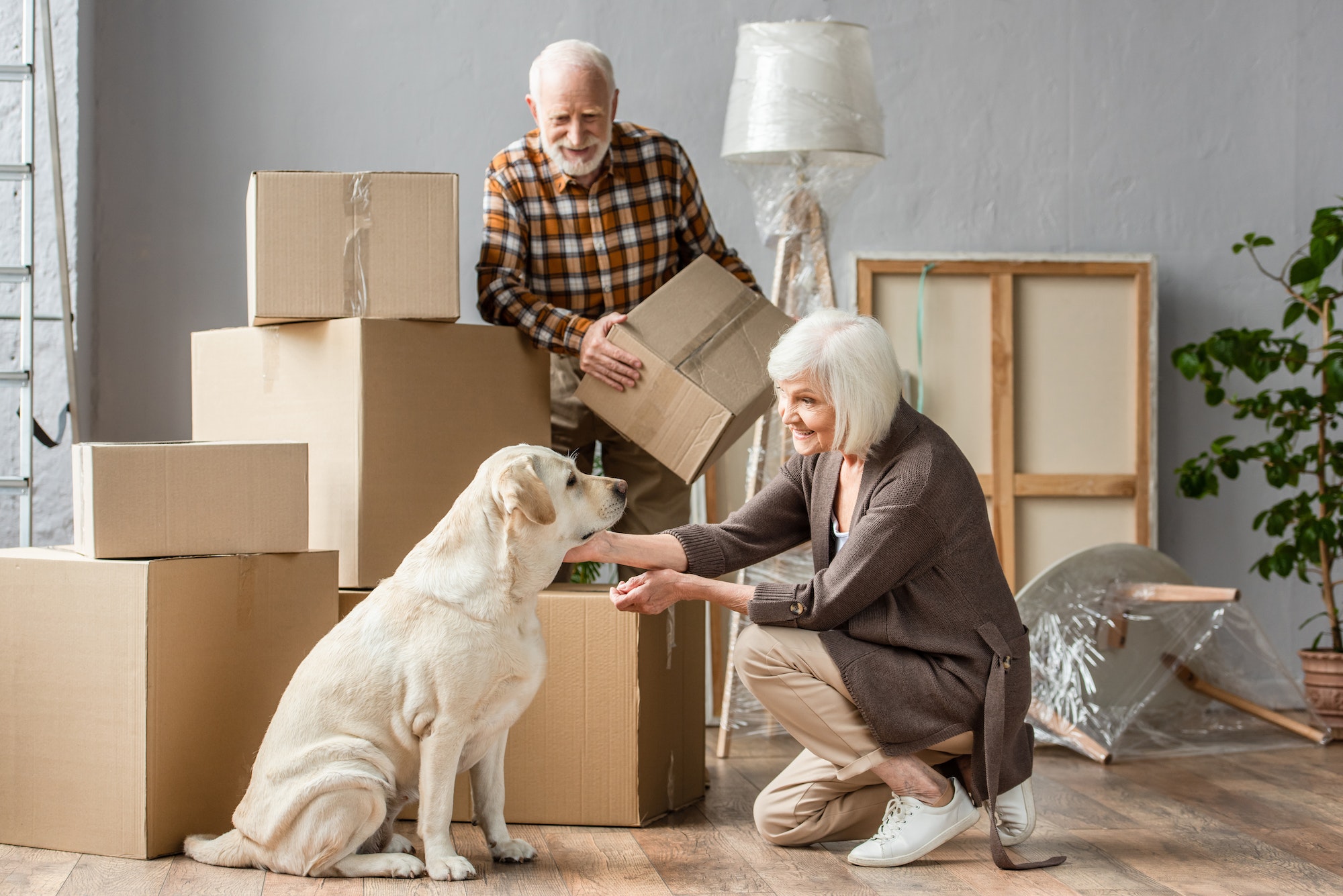 senior woman petting dog in new house while husband holding cardboard box