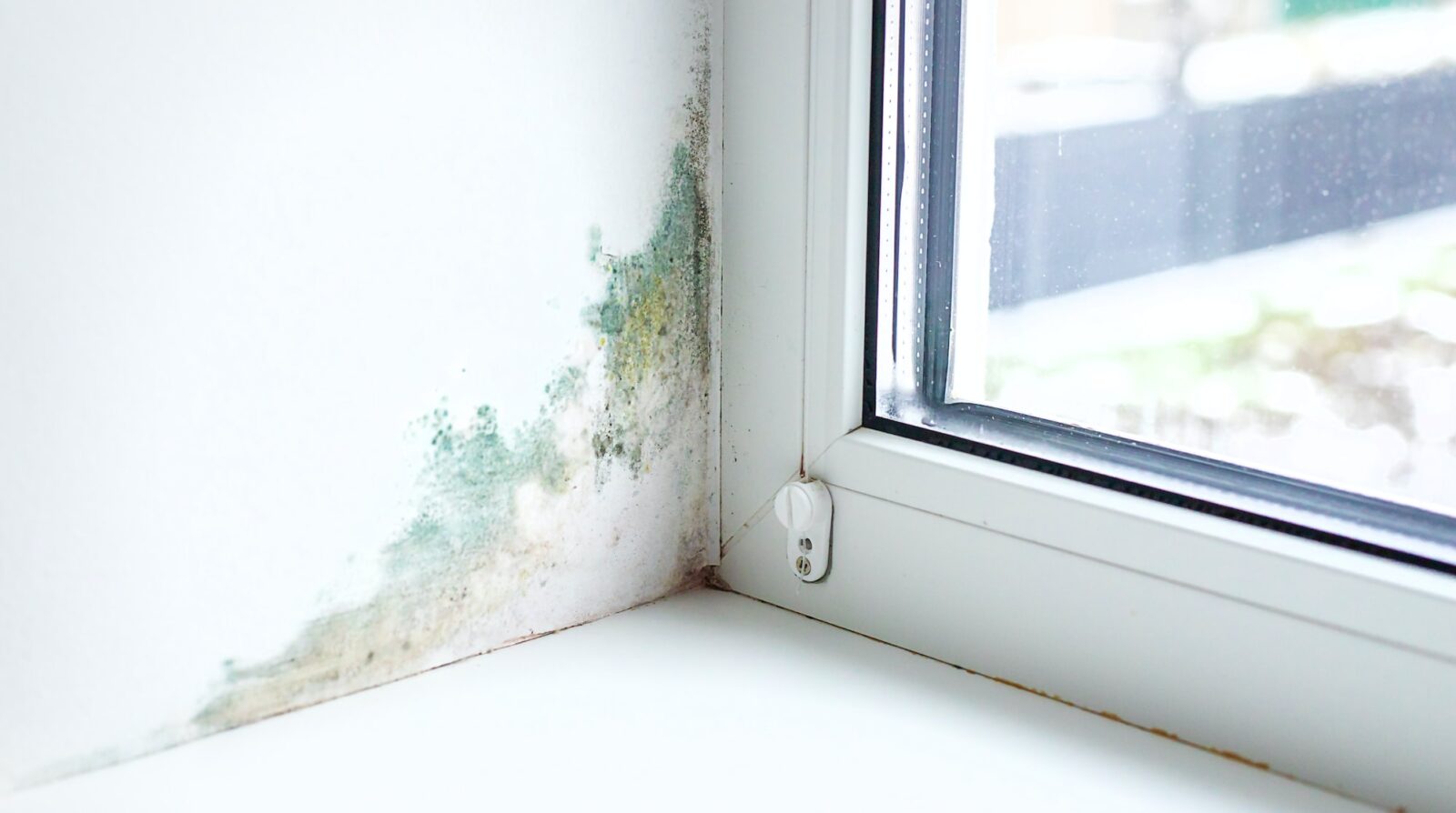 Slope near the window fungus moisture. Selective focus.