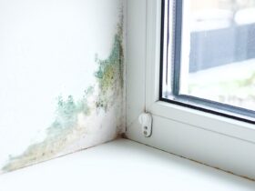 Slope near the window fungus moisture. Selective focus.