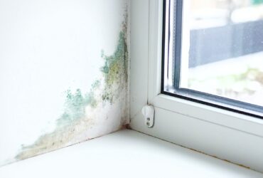 Slope near the window fungus moisture. Selective focus.