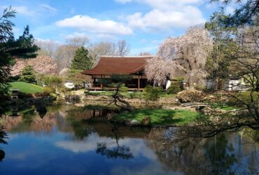Shofuso Japanese House And Garden