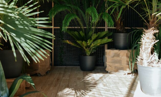 Interior decor and green plants