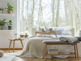 Plants in cozy bedroom interior