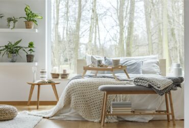 Plants in cozy bedroom interior