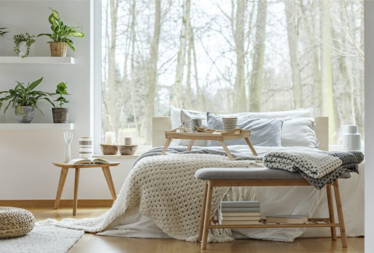 Plants in cozy bedroom interior