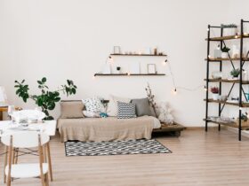 Stylish scandinavian living room with furniture, plants. Modern decor of bright room