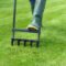 5 Telling Signs You Need To Aerate Your Lawn 1