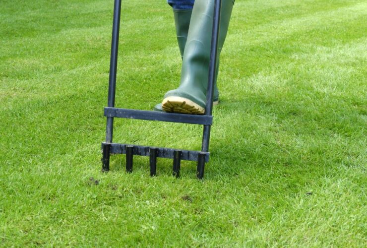 5 Telling Signs You Need To Aerate Your Lawn 1