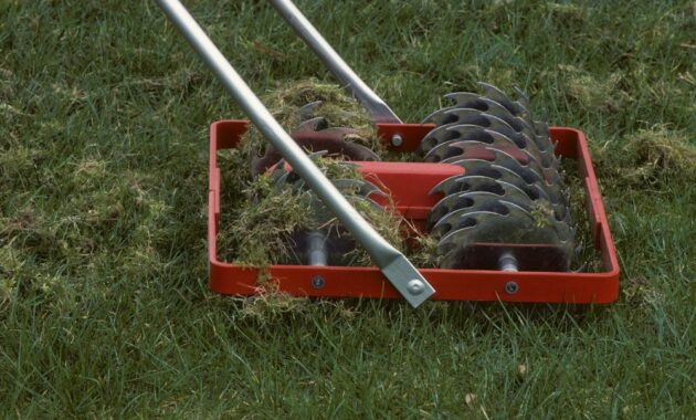 5 Telling Signs You Need To Aerate Your Lawn 2