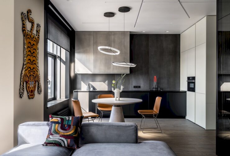 A Modern Apartment With A Glass Home Office For A Bachelor 8