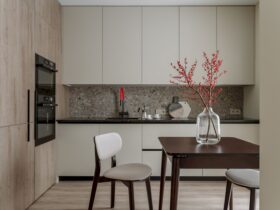 A One Bedroom Moscow Apartment With A Combined Kitchen Living Room 17