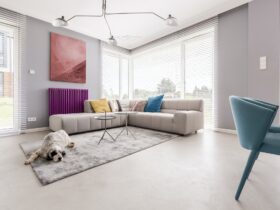 What Can I Spray to Keep My Dog from Peeing in the House?