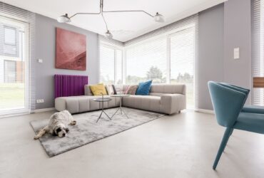 What Can I Spray to Keep My Dog from Peeing in the House?