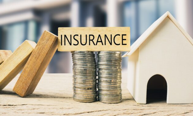 Home or real estate insurance protection concept