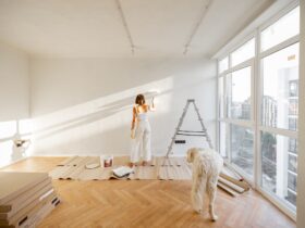 Woman with dog renovating house