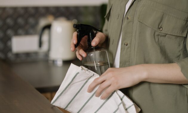 A Woman Following The Secrets To A Low Maintenance Home And Cleaning The Kitchen Countertops