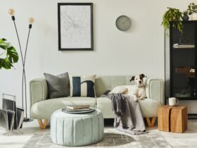 Tailored Companions: Finding the Perfect Dog Breed to Match Your Home