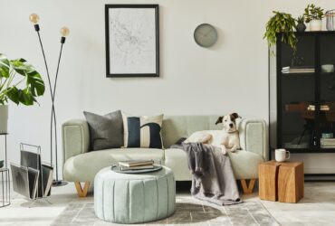 Tailored Companions: Finding the Perfect Dog Breed to Match Your Home
