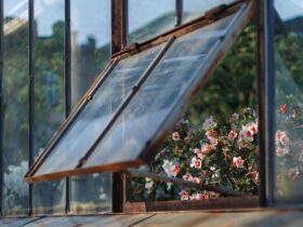 What Is a Greenhouse Window? An Introduction to a Nature-Inspired Architectural Feature