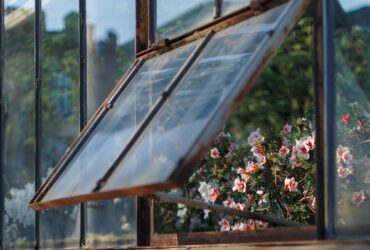 What Is a Greenhouse Window? An Introduction to a Nature-Inspired Architectural Feature