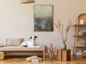 How Professional Painters Transform Home Décor