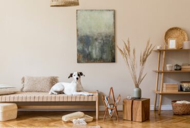 How Professional Painters Transform Home Décor